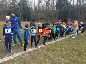 32. Naumburger Waldlauf 2025